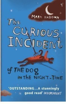 THE CURIOUS INCIDENT OF THE DOG IN THE NIGHT-TIME