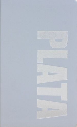 CUADERNO COLOR PLATA