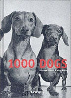 1000 DOGS