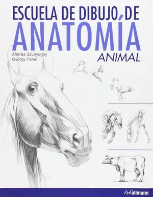 ESCUELA DE DIBUJO ANATOMÍA ANIMAL