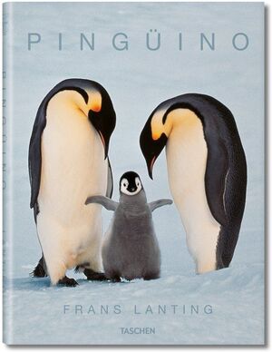 PINGÜINO