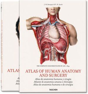 BOURGERY. ATLAS OF HUMAN ANATOMY AND SURGERY
