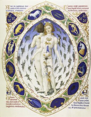 CODICES ILUSTRADOS. LOS MANUSCRITOS ILUMINADOS MÁS BELLOS DEL MUNDO