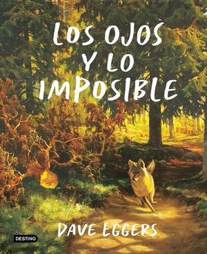 LOS OJOS Y LO IMPOSIBLE