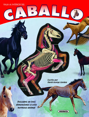 VIAJA AL INTERIOR DE EL CABALLO