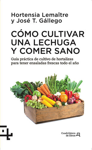 CÓMO CULTIVAR UNA LECHUGA Y COMER SANO