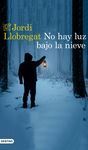 NO HAY LUZ BAJO LA NIEVE