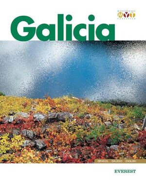 GALICIA MONUMENTAL Y TURÍSTICA