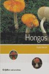 HONGOS