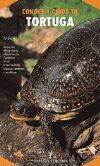 CONOCE Y CUIDA TU TORTUGA