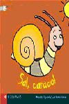 SAL, CARACOL
