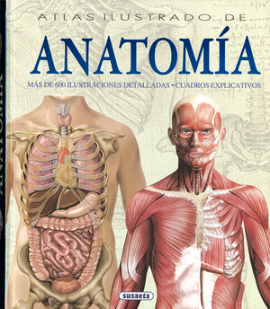 ANATOMÍA