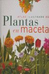 ATLAS ILUSTRADO DE PLANTAS EN MACETA