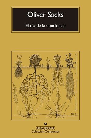 RIO DE LA CONCIENCIA, EL