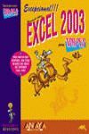 EXCEL 2003