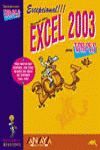 EXCEL 2003