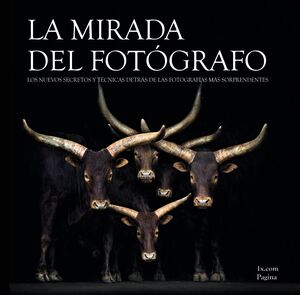 LA MIRADA DEL FOTÓGRAFO