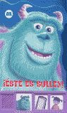 ¡ÉSTE ES SULLEY!