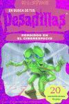 PERDIDOS EN EL CIBERESPACIO