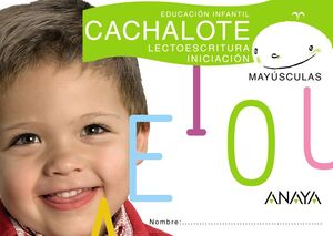LECTOESCRITURA. INICIACIÓN. MAYÚSCULAS.