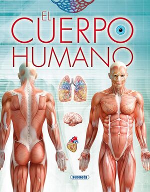 EL CUERPO HUMANO