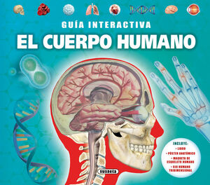GUÍA INTERACTIVA. EL CUERPO HUMANO