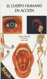 EL CUERPO HUMANO EN ACCIÓN