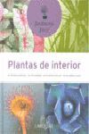 PLANTAS DE INTERIOR