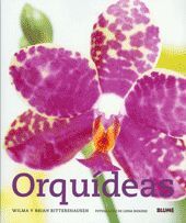ORQUÍDEAS