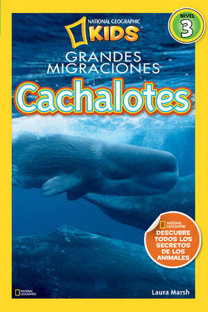 CACHALOTES