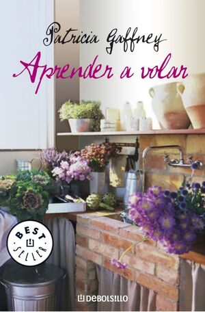 APRENDER A VOLAR