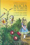 ALICIA EN EL PAÍS DE LAS MARAVILLAS