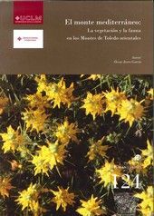 CUENTOS DE PRINCESAS