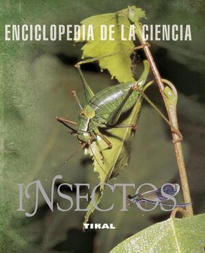 INSECTOS