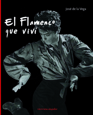 EL FLAMENCO QUE VIVÍ