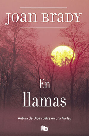 EN LLAMAS