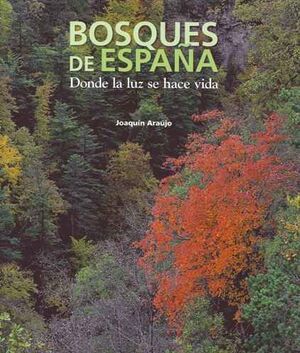 BOSQUES DE ESPAÑA