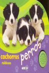 PERROS RUIDOSOS