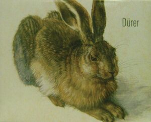 DURER (INCLUYE 5 LAMINAS)