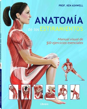 ANATOMÍA DE LOS ESTIRAMIENTOS